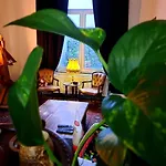 Appartement ambiance chalet